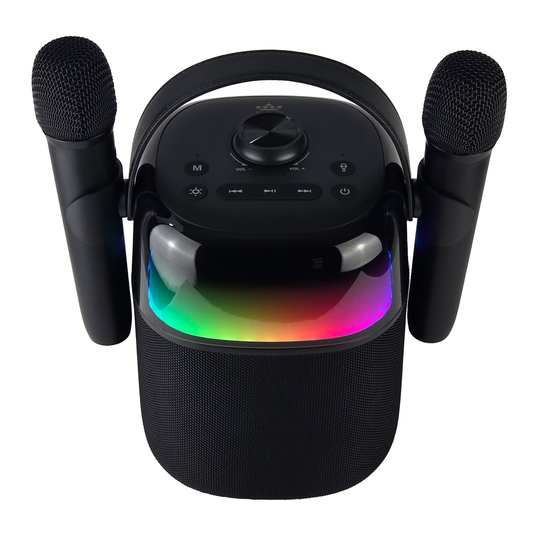 ROYQUEEN 12 Hour Portable Party Speaker