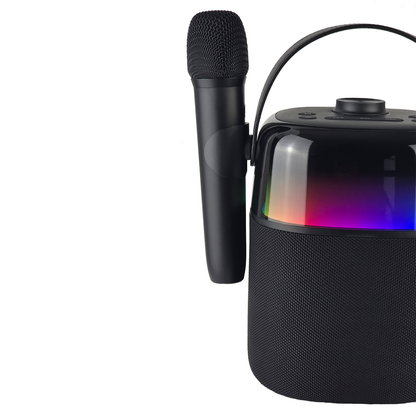 ROYQUEEN 12 Hour Portable Party Speaker